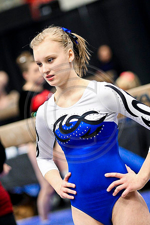 TAZ29683