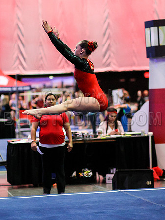 HSM_0272