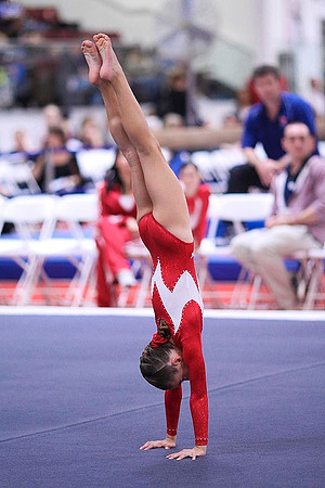 TAZ20065