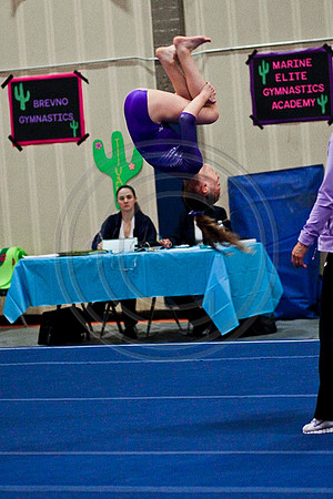 TAZ10079