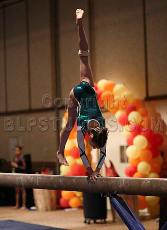 HSM_0383
