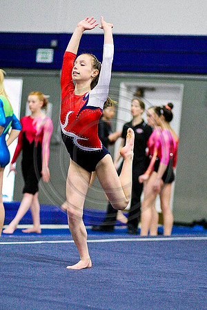 TAZ28290