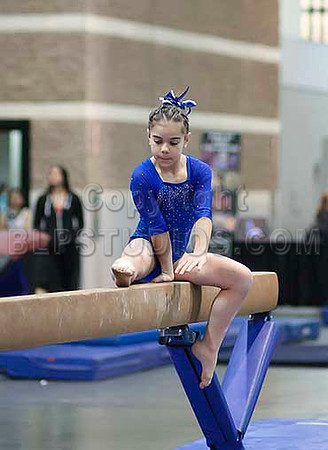HSM_1717