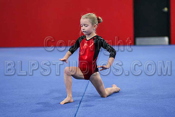 HSM_6315