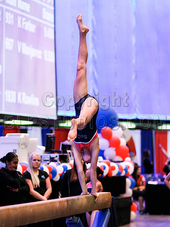 HSM_1299
