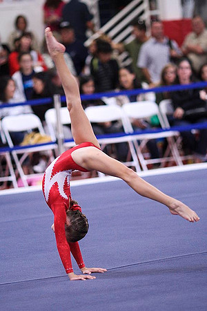 TAZ20075