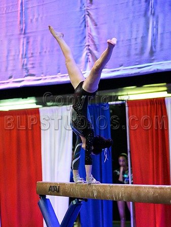 HSM_0838
