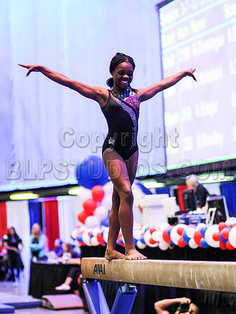 HSM_9939