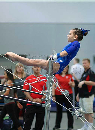HSM_1383