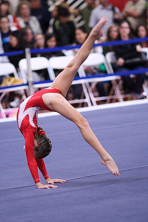 TAZ20074