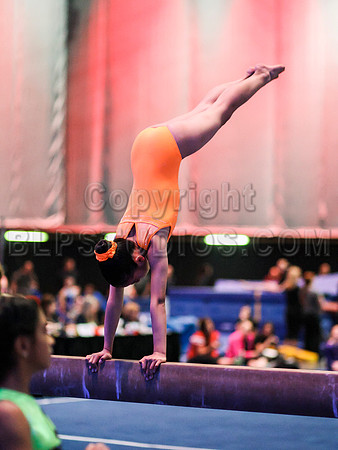 HSM_4137