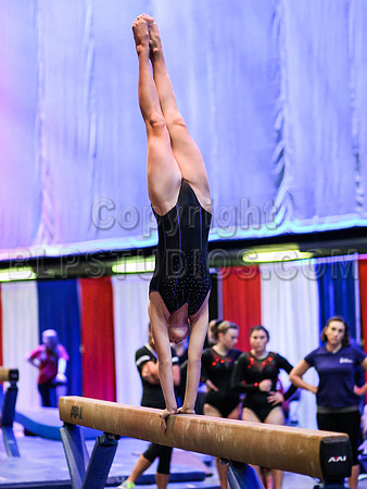 HSM_0463