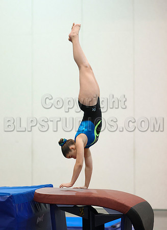 HSM_5311