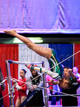 HSM_1485