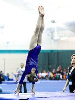 HSM_5617