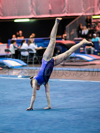HSM_4195