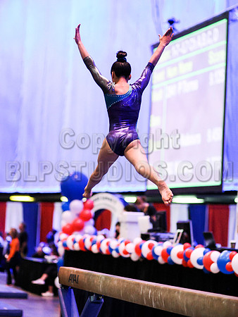 HSM_8521