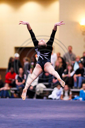 TAZ20088