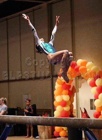 HSM_0384
