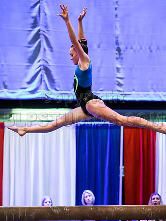 HSM_0566