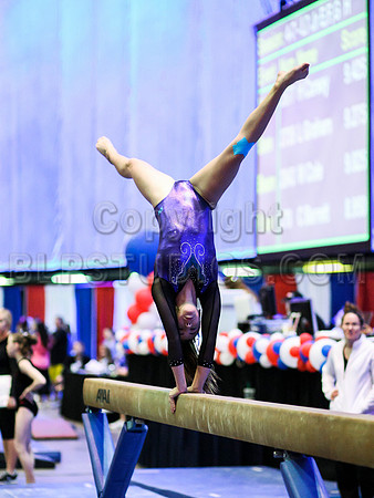 HSM_0235