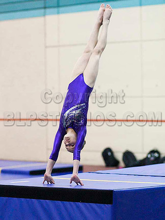HSM_5595