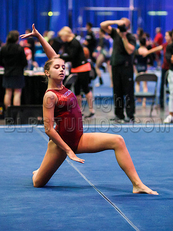 HSM_0977