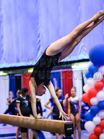 HSM_0495