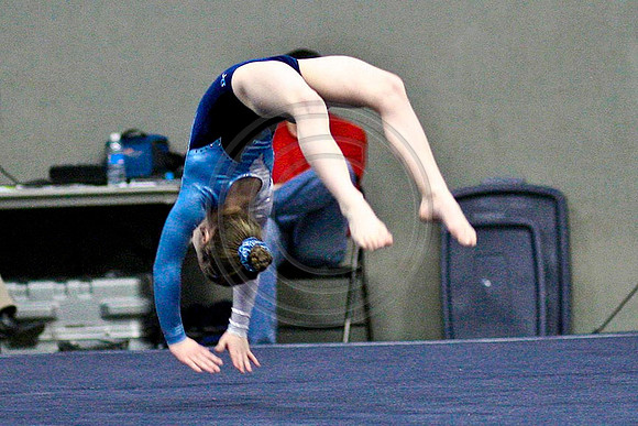 TAZ24393