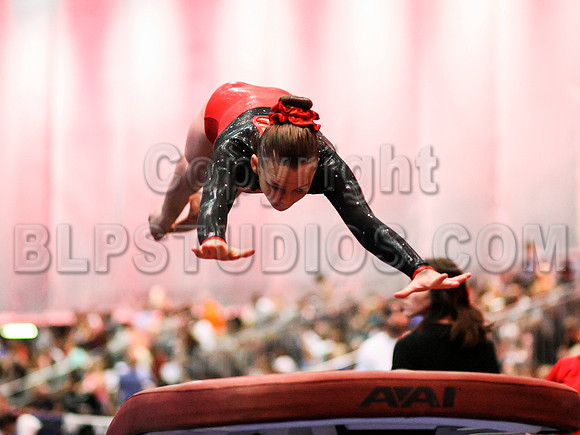 HSM_0761