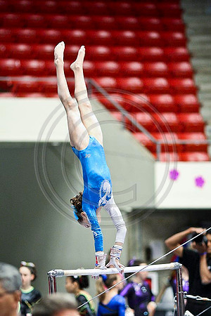 TAZ20070