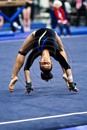 TAZ20078