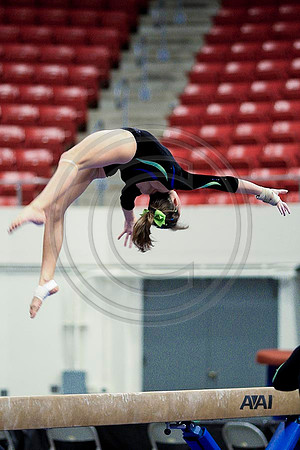 TAZ20115