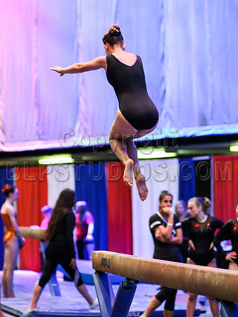 HSM_0479