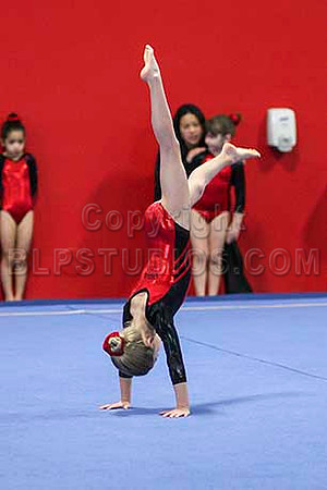 HSM_6286