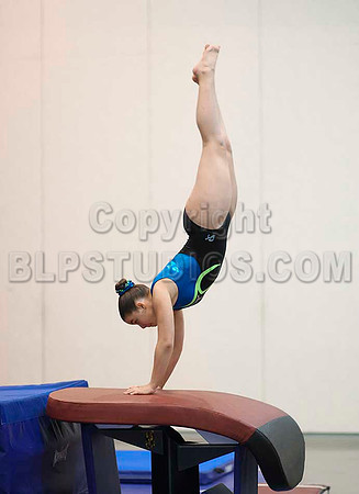 HSM_5310