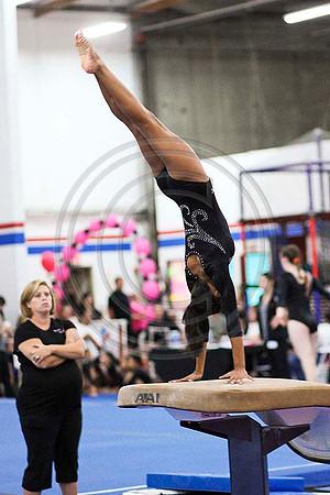 TAZ11439