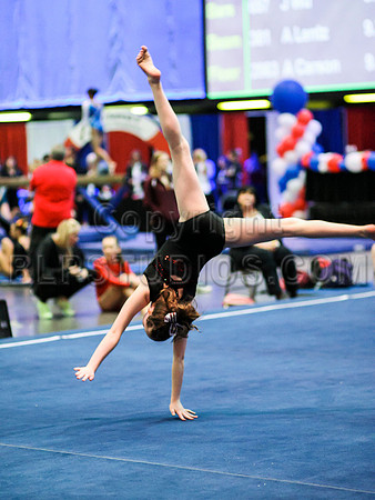 HSM_0602