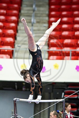 TAZ20132