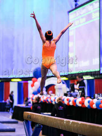 HSM_4253