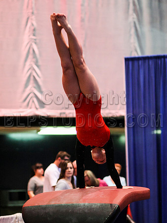 HSM_0782