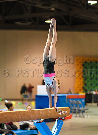 BU2F0946