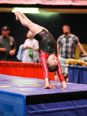 HSM_5856