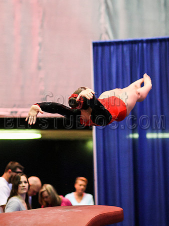 HSM_0786