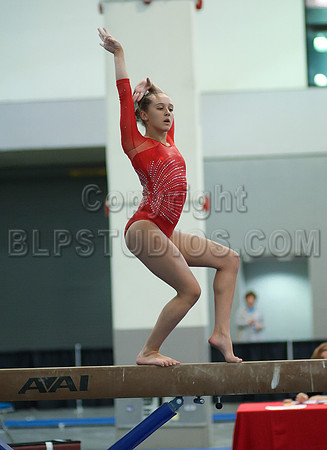 HSM_4617