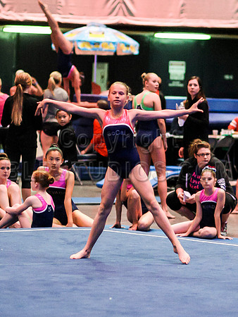 HSM_1652