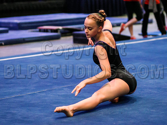 HSM_0710