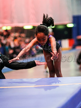 HSM_4291