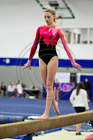 TAZ20093