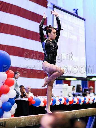 HSM_1176